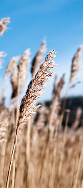 k1体育麻将胡了(中国集团)官方网站