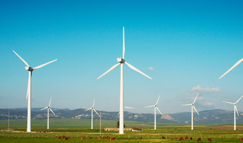 k1体育麻将胡了(中国集团)官方网站