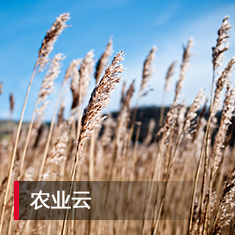 k1体育麻将胡了(中国集团)官方网站