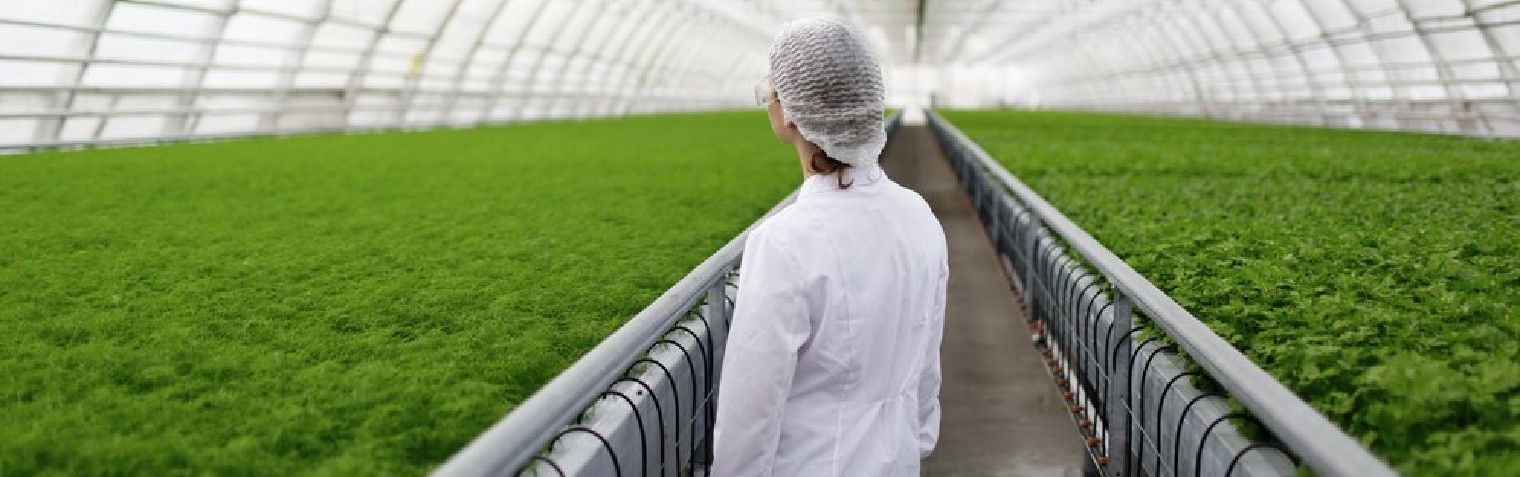 k1体育麻将胡了(中国集团)官方网站